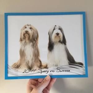 Meet your Posher, Hendrika